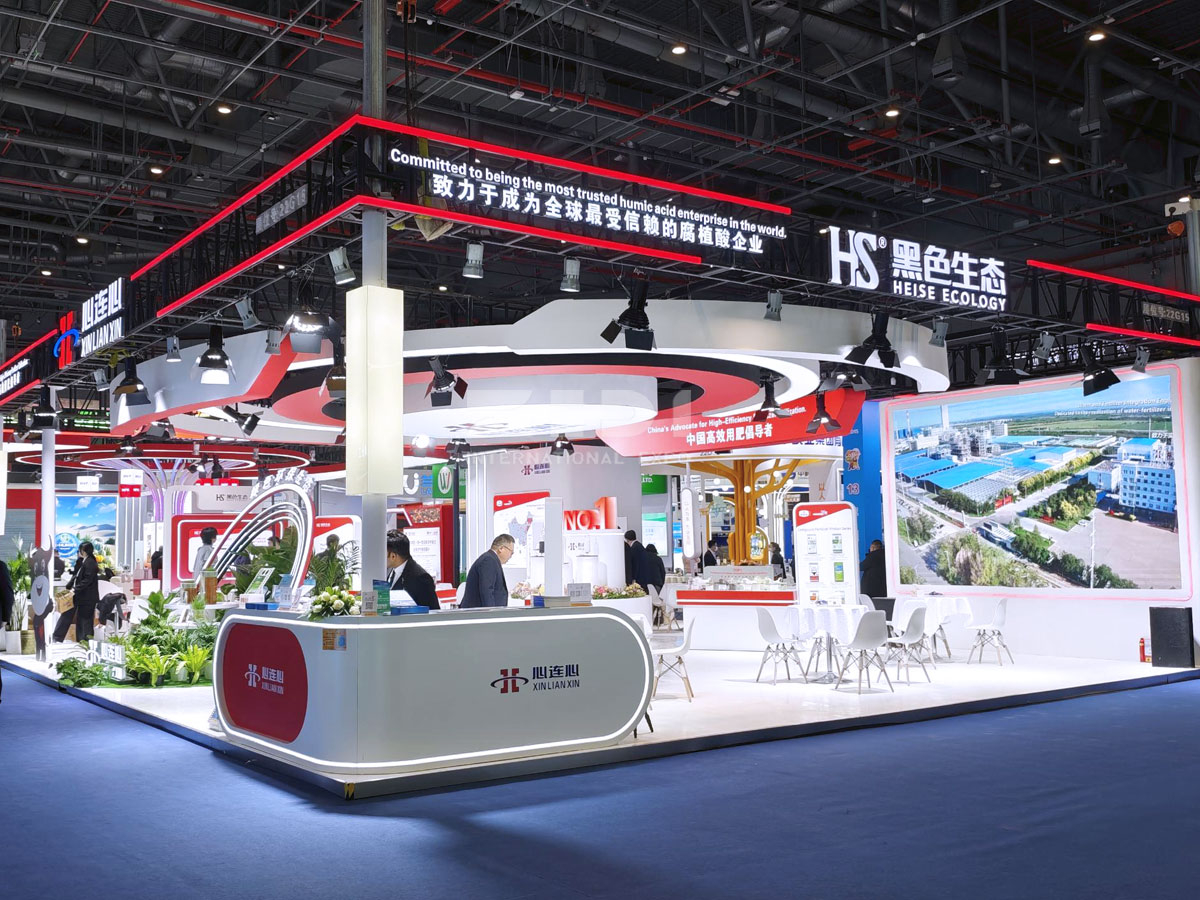 上?；试险古_搭建